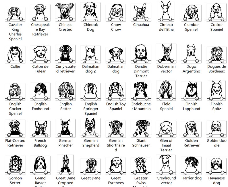 K&ouml;nnte beinhalten: Schwarzwei&szlig;-Illustrationen verschiedener Hunderassen, jede mit dem Kopf &uuml;ber einer Oberfl&auml;che. Die Rassen umfassen Cavalier King Charles Spaniel, Chesapeake Bay Retriever, Chinese Crested, Chinook Dog, Chow Chow, Chihuahua, Cirneco dell'Etna, Clumber Spaniel, Cocker Spaniel, Collie, Coton de Tulear, Curly-coated Retriever, Dalmatiner, Dandie Dinmont Terrier, Dobermann, Dogo Argentino, Dogues de Bordeaux, English Cocker Spaniel, English Foxhound, English Setter, English Springer Spaniel, English Toy Spaniel, Entlebucher Sennenhund, Field Spaniel, Finnischer Lapphund, Finnischer Spitz, Flat-coated Retriever, Franz&ouml;sische Bulldogge, Deutscher Pinscher, Deutscher Sch&auml;ferhund, Deutscher Kurzhaar, Riesenschnauzer, Glen of Imaal Terrier, Golden Retriever, Goldendoodle, Gordon Setter, Grand Basset Griffon Vend&eacute;en, Deutsche Dogge, Pyren&auml;enberghund, Grosser Schweizer Sennenhund, Windhund, Harrier, Havaneser und mehr.