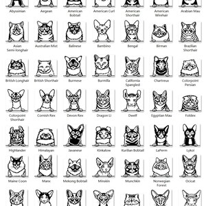 K&ouml;nnte beinhalten: Eine Schwarzwei&szlig;illustration von 25 verschiedenen Katzenrassen. Jede Rasse wird mit einem Namenslabel unter dem Bild gezeigt. Die Katzen sind in einem einfachen, cartoonartigen Stil dargestellt, wobei ihre K&ouml;pfe und Schultern sichtbar sind.