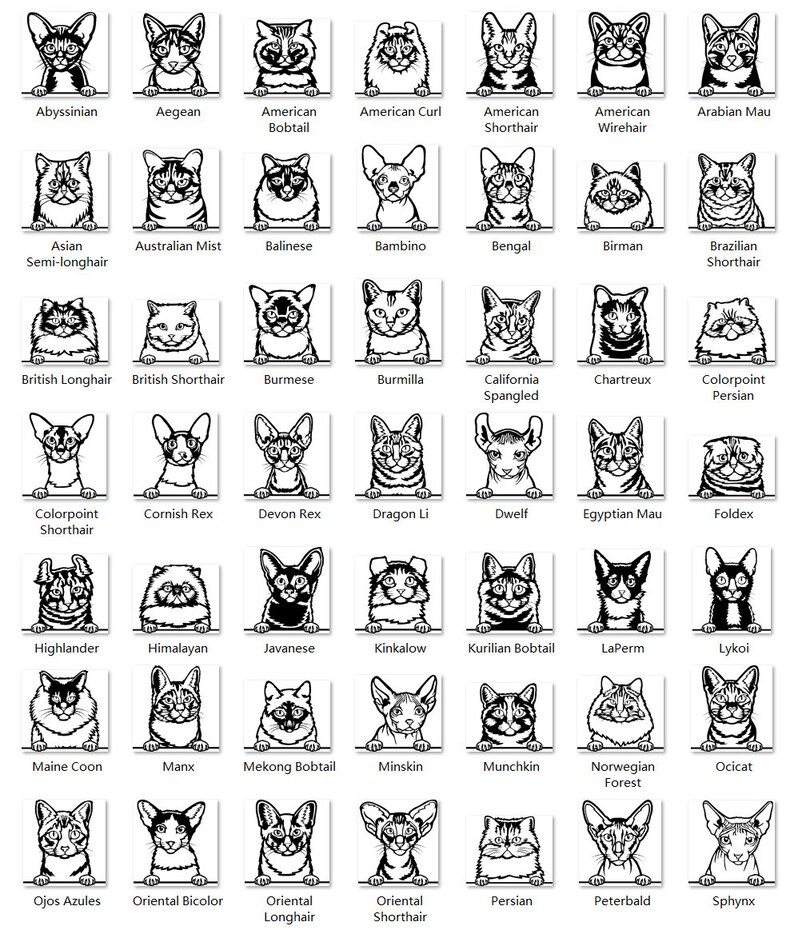 K&ouml;nnte beinhalten: Eine Schwarzwei&szlig;illustration von 25 verschiedenen Katzenrassen. Jede Rasse wird mit einem Namenslabel unter dem Bild gezeigt. Die Katzen sind in einem einfachen, cartoonartigen Stil dargestellt, wobei ihre K&ouml;pfe und Schultern sichtbar sind.