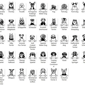 K&ouml;nnte beinhalten: Schwarzwei&szlig;e Illustrationen verschiedener Hunderassen, jede mit einer einzigartigen Kopfform und Gesichtsausdruck. Die Hunde sind dargestellt, wie sie &uuml;ber eine wei&szlig;e Oberfl&auml;che schauen, was ein verspieltes und fantasievolles Design erzeugt.