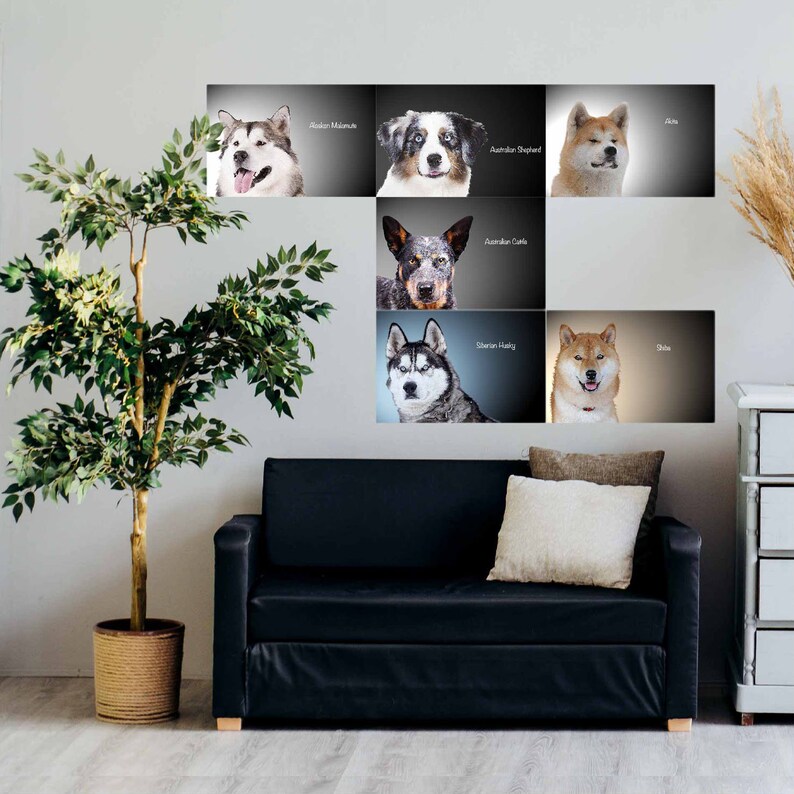 DOG PRINTS Wall Art Dog BREEDS Poster Medium Size Dog Decal Etsy