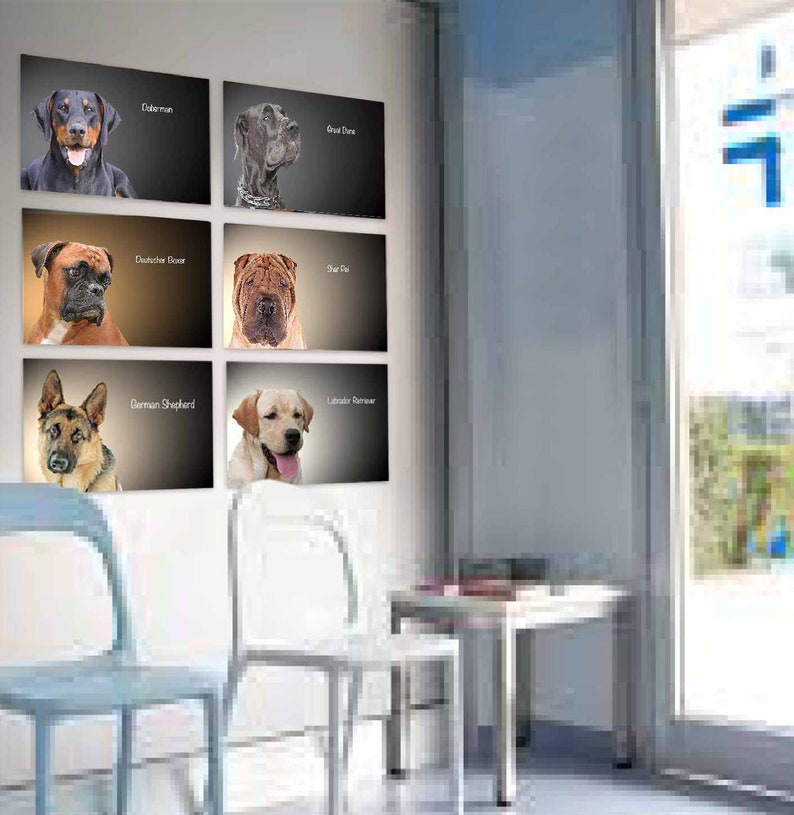 DOG PRINTS Wall Art Dog BREEDS Poster Large Size Dog Decal Etsy