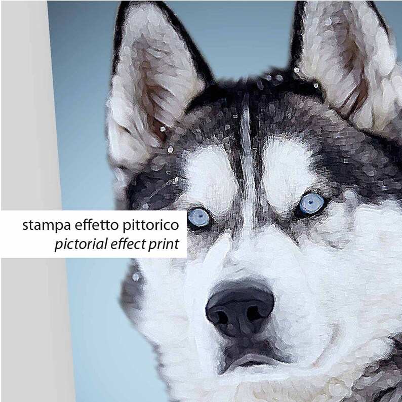 DOG PRINTS Wall Art Dog BREEDS Poster Medium size dog decal | Etsy