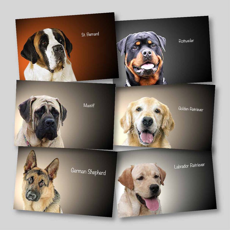 DOG PRINTS Wall Art 6 BREEDS Collection Large Dogs Sticker Etsy