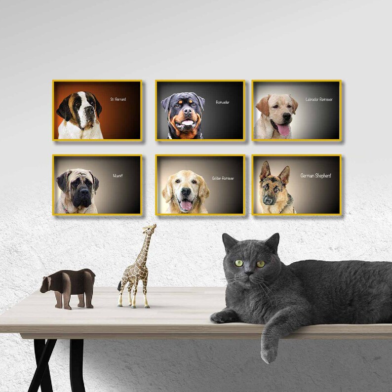 DOG PRINTS Wall Art 6 BREEDS Collection Large Dogs Sticker Etsy
