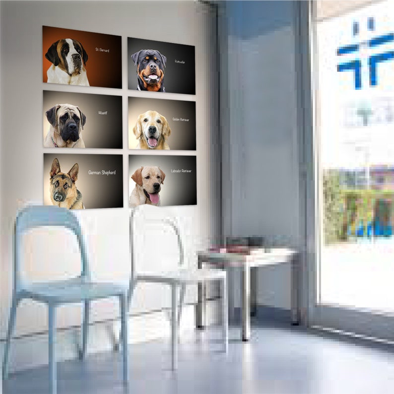 DOG PRINTS Wall Art 6 BREEDS Collection Large Dogs Sticker Etsy