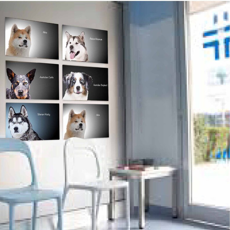 DOG PRINTS Wall Art Dog BREEDS Poster Medium Size Dog Decal Etsy