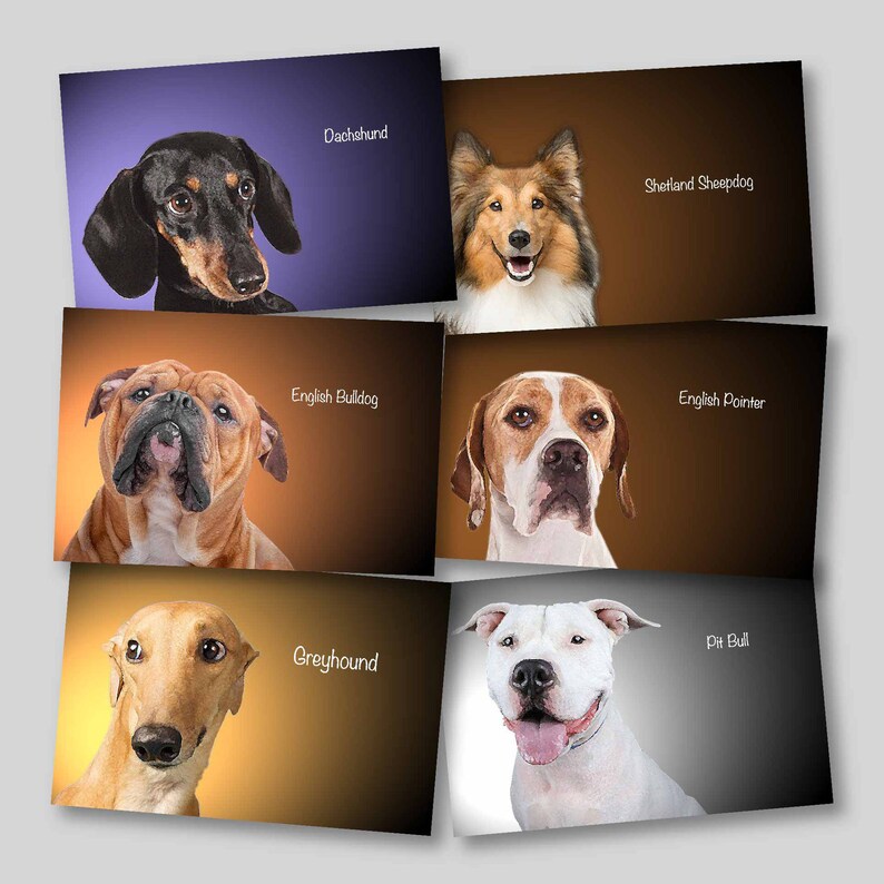 PRINTS Breeds of DOGS Dog Wall Decal Set of 6 Dogs of Breed Etsy