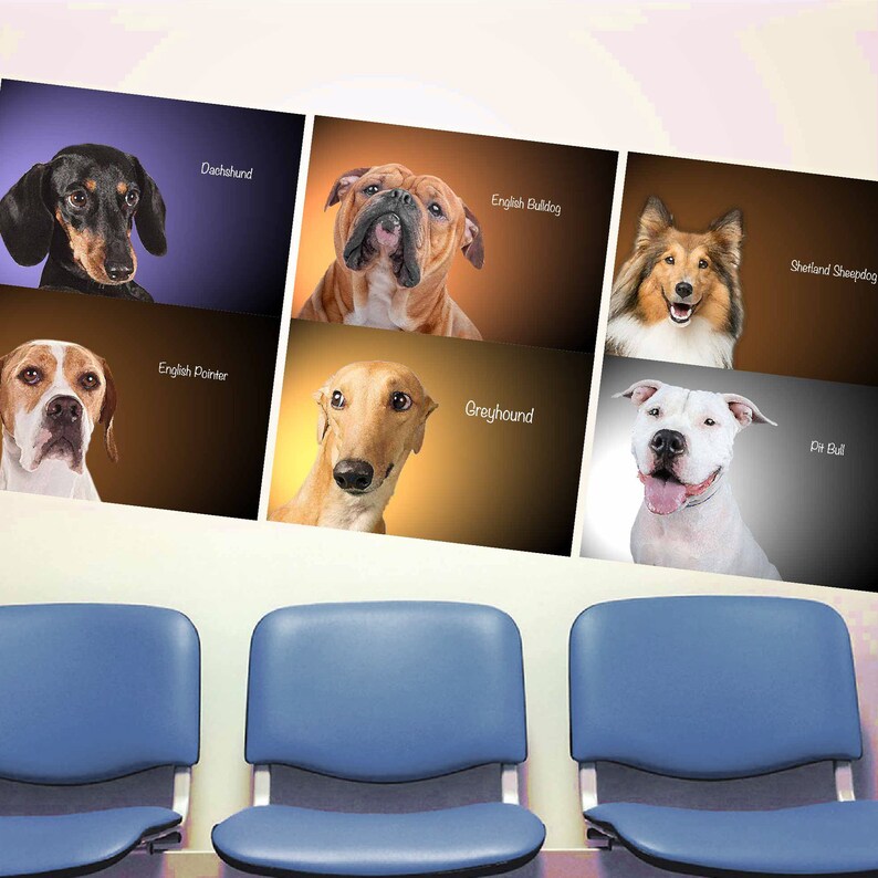 PRINTS Breeds of DOGS Dog Wall Decal Set of 6 Dogs of Breed Etsy