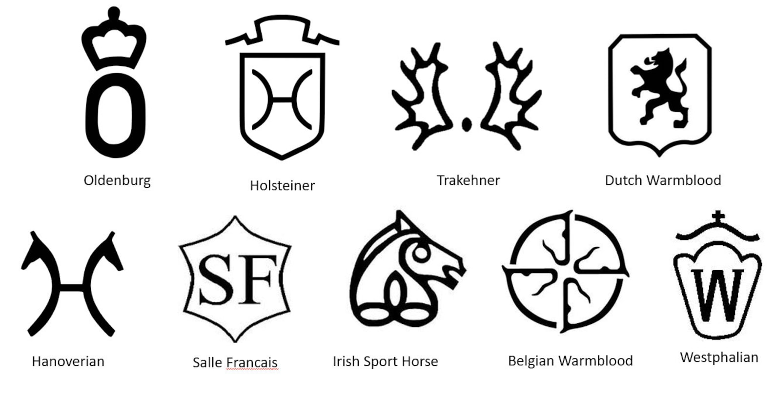 Warmblood Horse Breed Brand and Name Decal Etsy