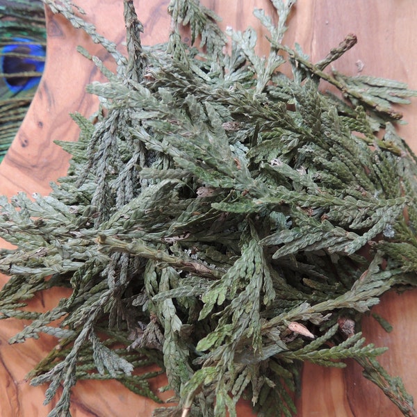 Flat Cedar / Dried Flat Cedar / Flat PADDLES or SHAKE / USA Cedar / Cedar for Rituals / Dried Cedar / Arborvitae / Smudge Blends / One Oz