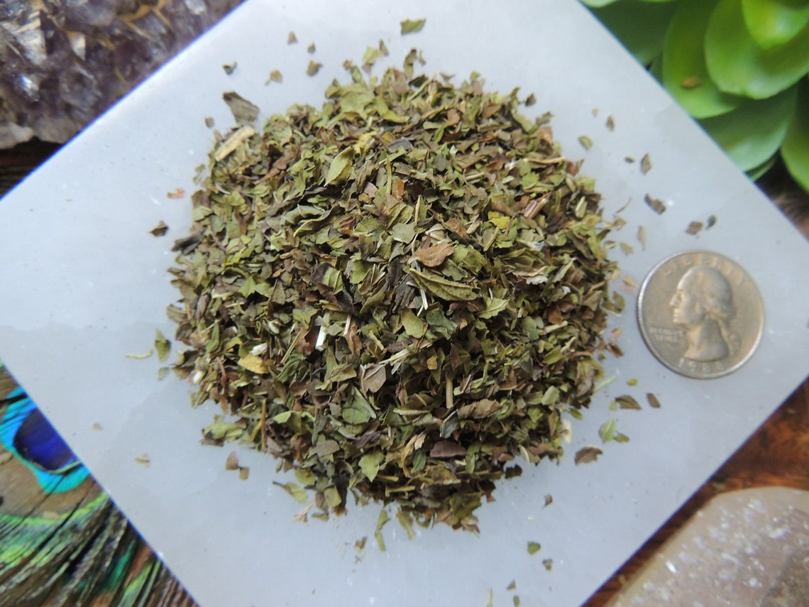Peppermint / Peppermint Leaf / Cut and Sifted Peppermint / Etsy