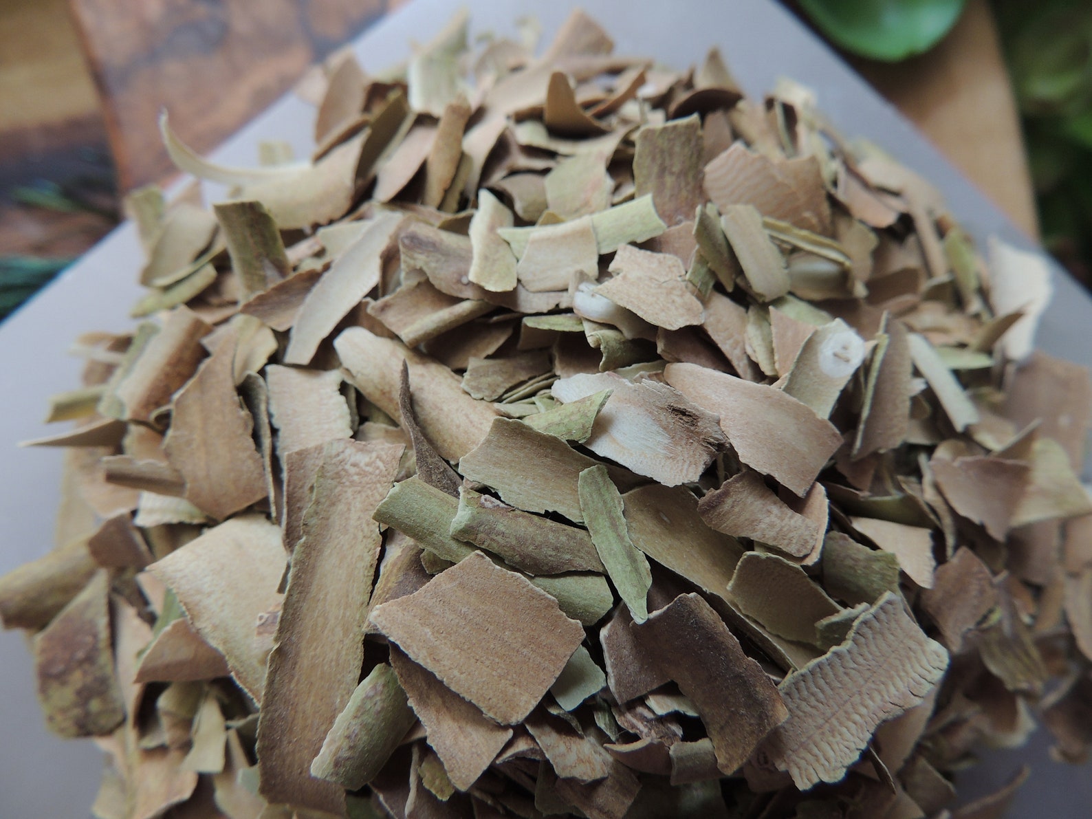 Red Willow Bark / Willow Bark / Cansasa / Native Tree / Etsy