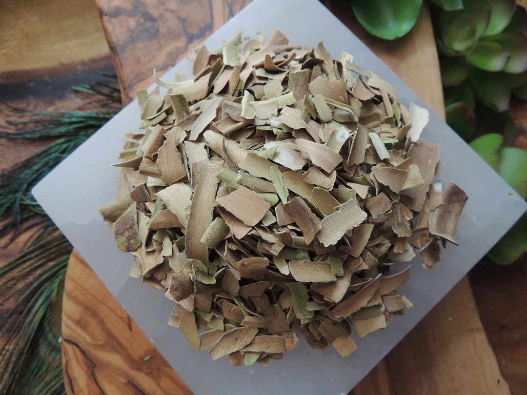 Red Willow Bark / Willow Bark / Cansasa / Native Tree / Etsy