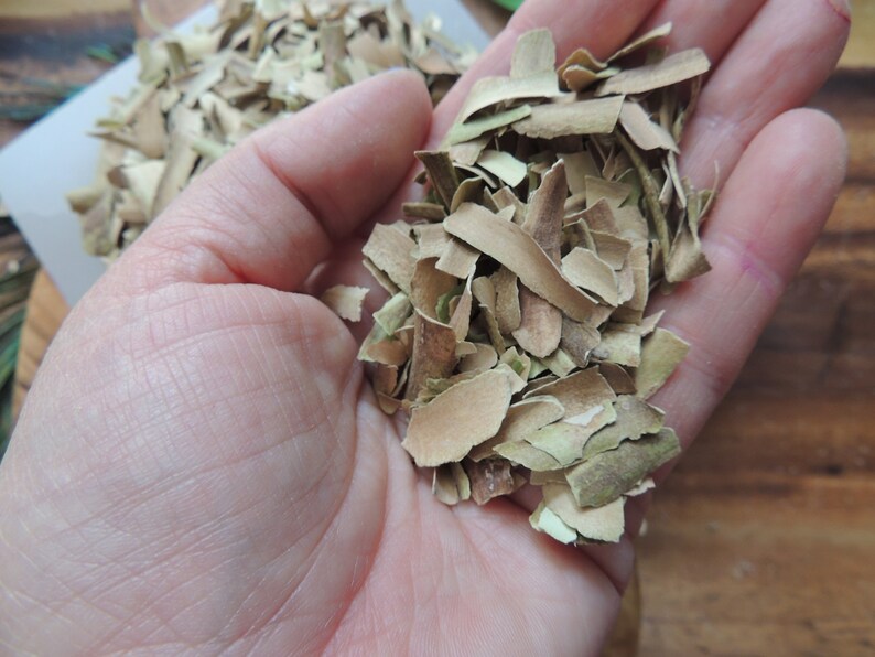 Red Willow Bark / Willow Bark / Cansasa / Native Tree / Etsy