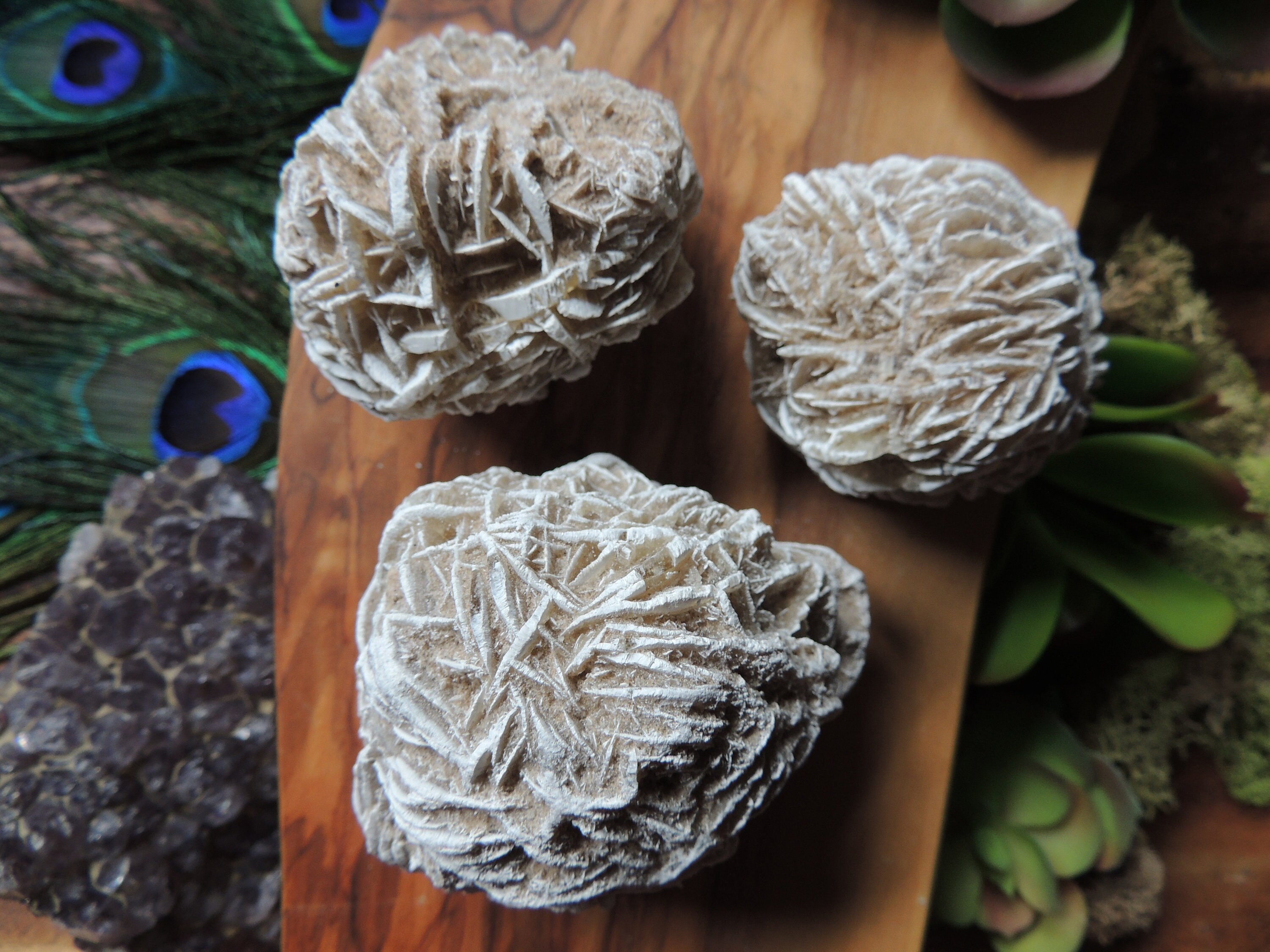 Desert Rose Crystal Gypsum Sand Roses Rose Mineral Specimen Spirit Guardian