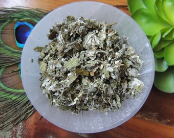 Red Raspberry Leaf / Cut and Dried Raspberry Leaf / Garden Raspberry / Raspberry Leaf / Two Oz