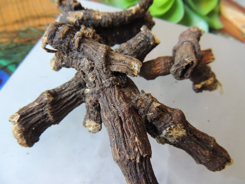 Osha Root / Bear Root / Chuchupate / Colorado Cough Root