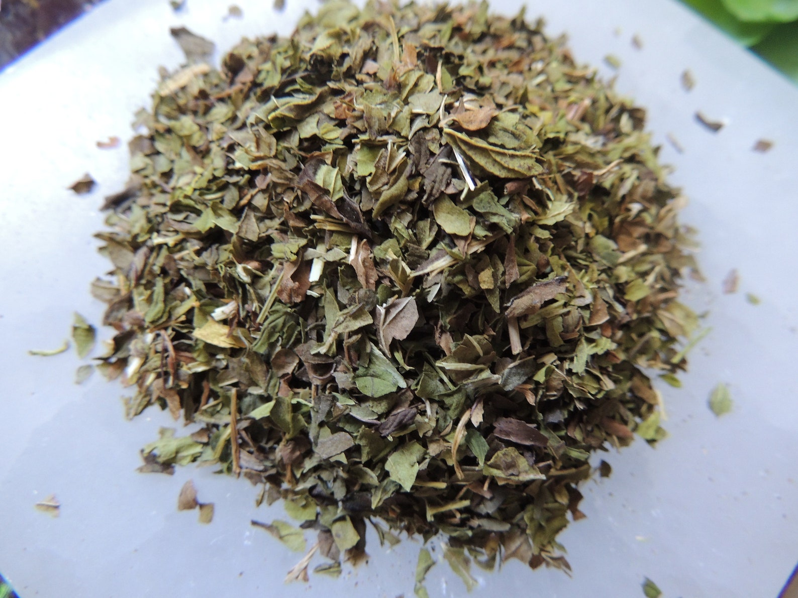 Peppermint / Peppermint Leaf / Cut and Sifted Peppermint / Etsy
