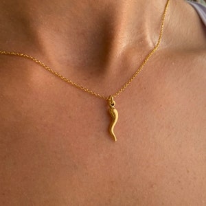 Chili Pepper Necklace For Women, Silver Chili Pepper Jewelry, Gold Lucky Charm Necklace, Dainty Necklace, Minimalist Necklace,Gift For Her 5