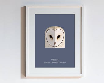 Owl Species Print - choose one of 15 species - modern minimalist illustrated wall art taxonomy series