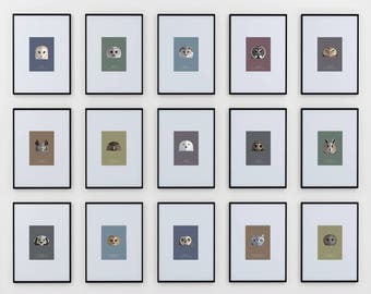 Owl Species Prints, Complete Set of Fifteen (15) - modern minimalist illustrated wall art series