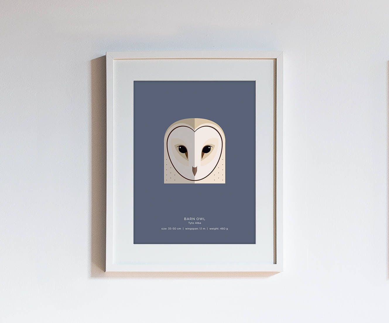 Owl Species Print - choose one of 15 species - modern minimalist illustrated wall art taxonomy serie