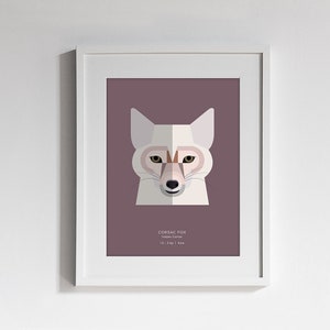 Fuchs Art Print - wähle eine von 12 Arten - moderne minimalistisch illustrierte Wandkunst Taxonomie Serie