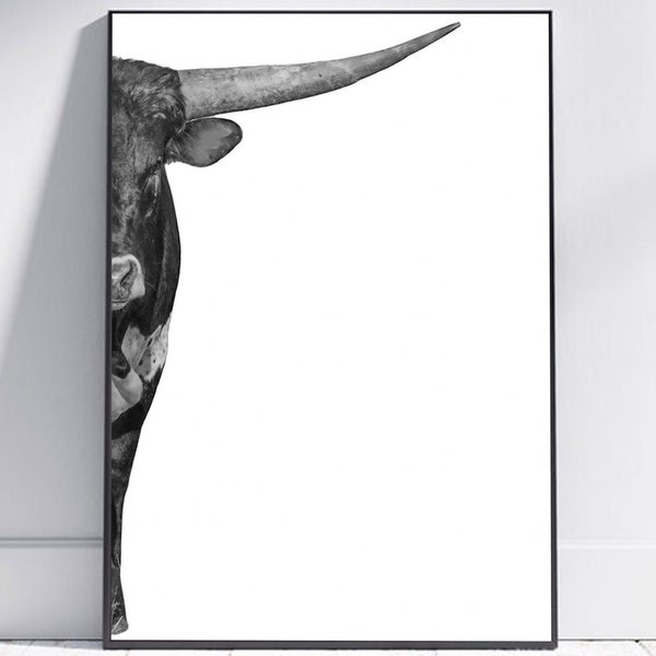 Texas Long Horn Art - Bull Poster - Texas Longhorn Print - Texas Poster - Bull Print - Longhorn Art - Southwestern Photograph - Cowboy Art