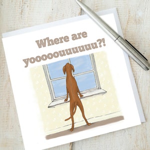 Vizsla Dog Card WHERE ARE YOU?!  Hungarian Vizsla greetings card blank inside illustrated dog art card