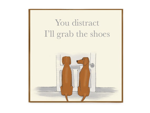 Vizsla shoes cheap