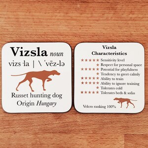 Hungarian Vizsla COASTER SET, funny coasters for Vizsla and dog lovers