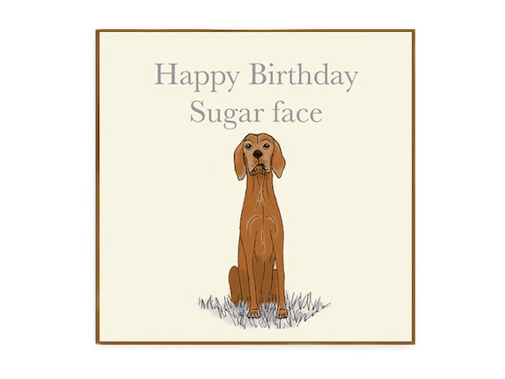 happy birthday vizsla