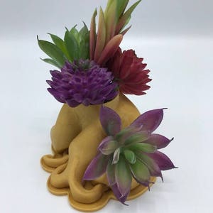 Plantador de ar estranho, plantador de ar estranho, plantador de ar de mesa, plantador de dormitório, plantador de ar de dormitório, plantador de ar exclusivo, caixa de plantador interno, plantador de ar