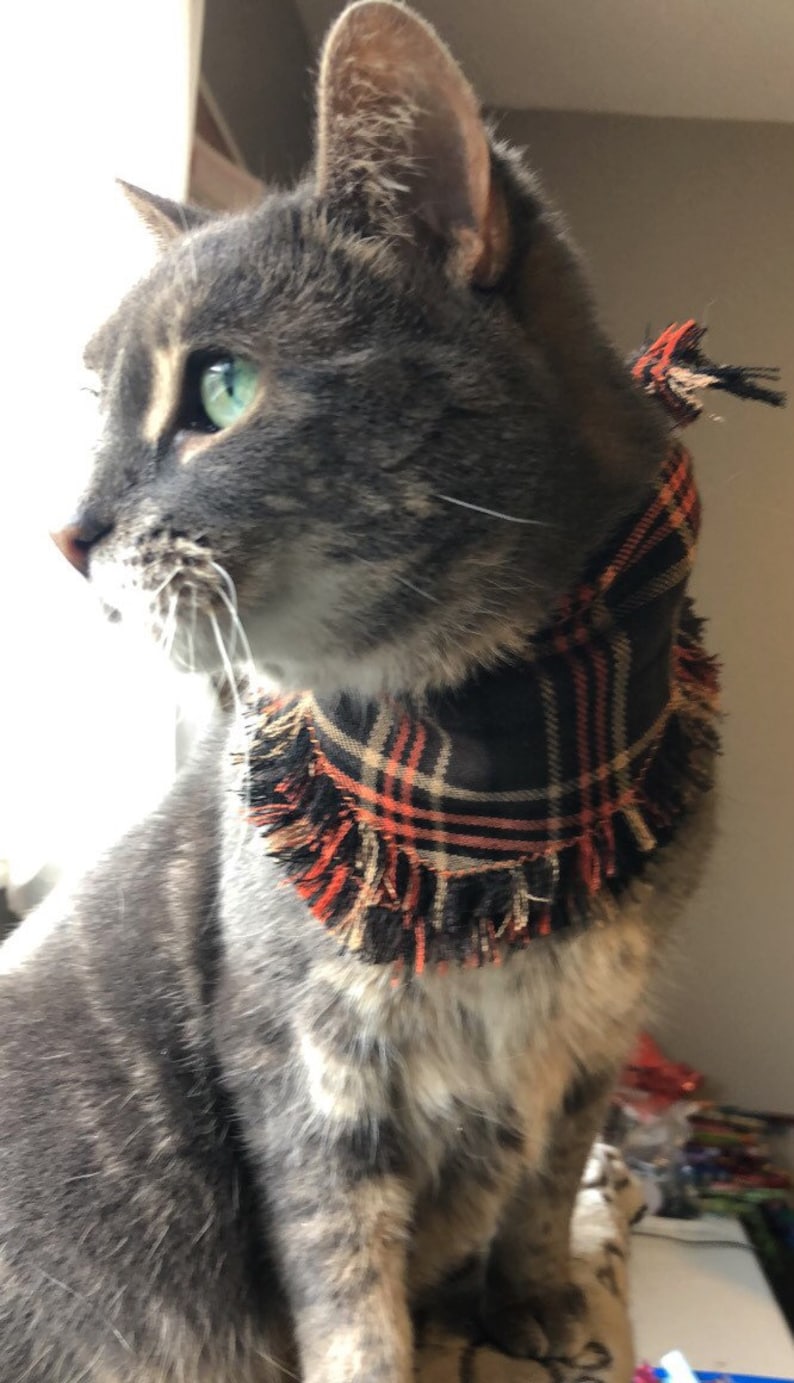 Fall Dog Scarf Fringe Puppy Bandana Tartan Plaid Pet Neckerchief VISTA: Winter Blue Dog Bandana Tie On Cat Scarf