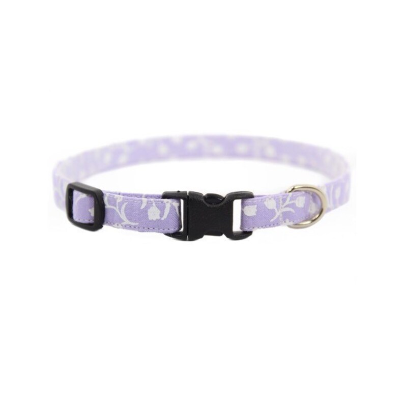 purple cat collar