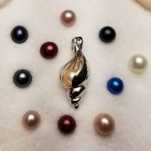 NEW 925 Sterling silver spiral sea shell pearl cage locket pendant necklace with pearl (chain and oyster included)