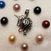 see more listings in the Pearl cage section