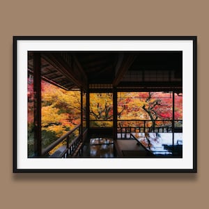 Japanischer Garten Ahorn Bäume Original Kunstdruck Landschaft III, Herbstlaub Druck, Japan Foto von Peter Yan, Japan Kyoto Wandkunst