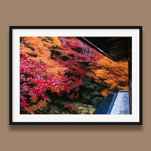 Japanischer Garten Ahorn Bäume Original Kunstdruck Landschaft IV, Herbstlaub Druck, Japan Foto von Peter Yan, Japan Kyoto Wandkunst