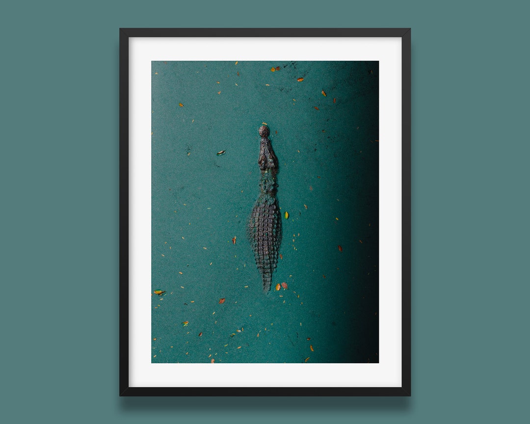Crocodile Print | Western Australia, Broome Art Print, Wild Animal Wall Art, Original Photography by Peter Yan
