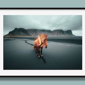 Iceland Landscape Print | Icelandic Horse print, animal poster, Horse Wall Art Print from Iceland