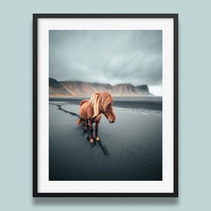 Iceland Print | Icelandic Horse print, animal poster, Horse Wall Art Print from Iceland