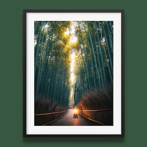 Japan-Druck | Japanischer Bamboo Grove Wall Art Print | Arashiyama Poster | Japan Naturfotografie von Peter Yan