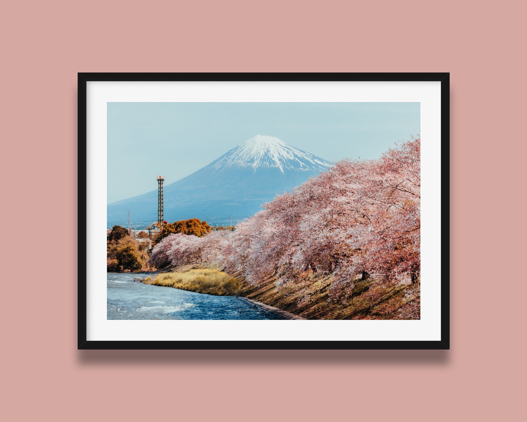 絵画 アート 富士山 桜 Amazon.co.jp: 花の絵 風景画 桜 富士山 アクリル画 原画 桜吹雪