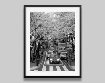 Impression noir et blanc Tokyo | Poster Taxi sous les cerisiers en fleurs, impression d'art mural urbain japonais, photographie originale de Peter Yan