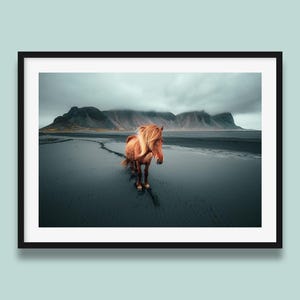 Icelandic Horse Print – Vestrahorn Landscape Photography, Black Sand Beach Wall Art, Unframed Poster