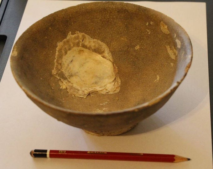 Early (1400 to 1600) Chinese Rice Bowl - coral encrusted ship wreck find in the sand dunes on the Western Australian coast