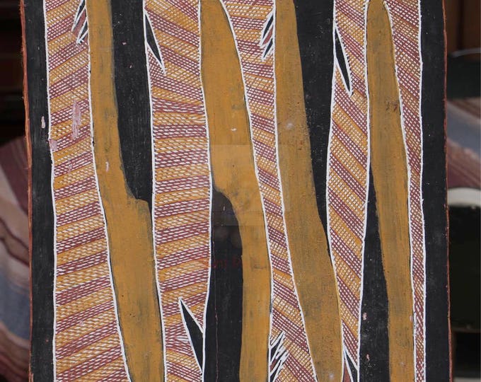 Australian Aboriginal Art - 4 Jew Fish, in natural earth pigments on eucalyptus bark - Reduced