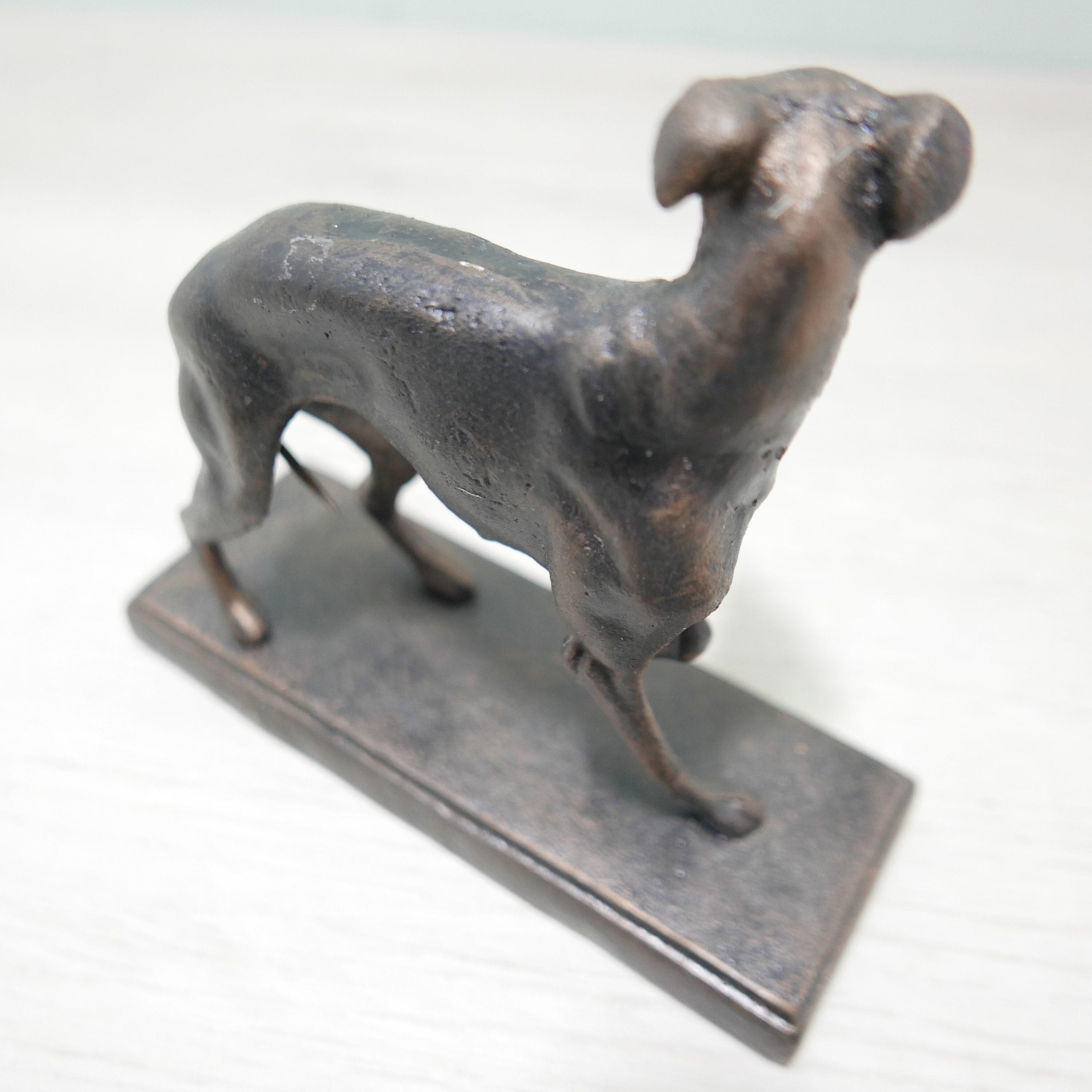 Cuccioli Whippet Levriero Disponibili In Vendita A Genova (GE - Foto 13